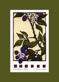 Blackberries - Product Image