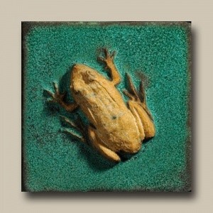 Frog 4" Tile