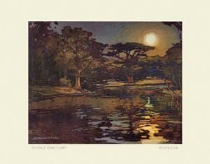 Moonlit Sanctuary, by Jan Schmuckal  - Product Image