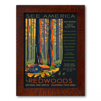 Redwoods National Park - Product Image