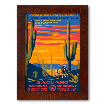 Saguaro National Monument - Product Image