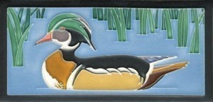Wood Duck